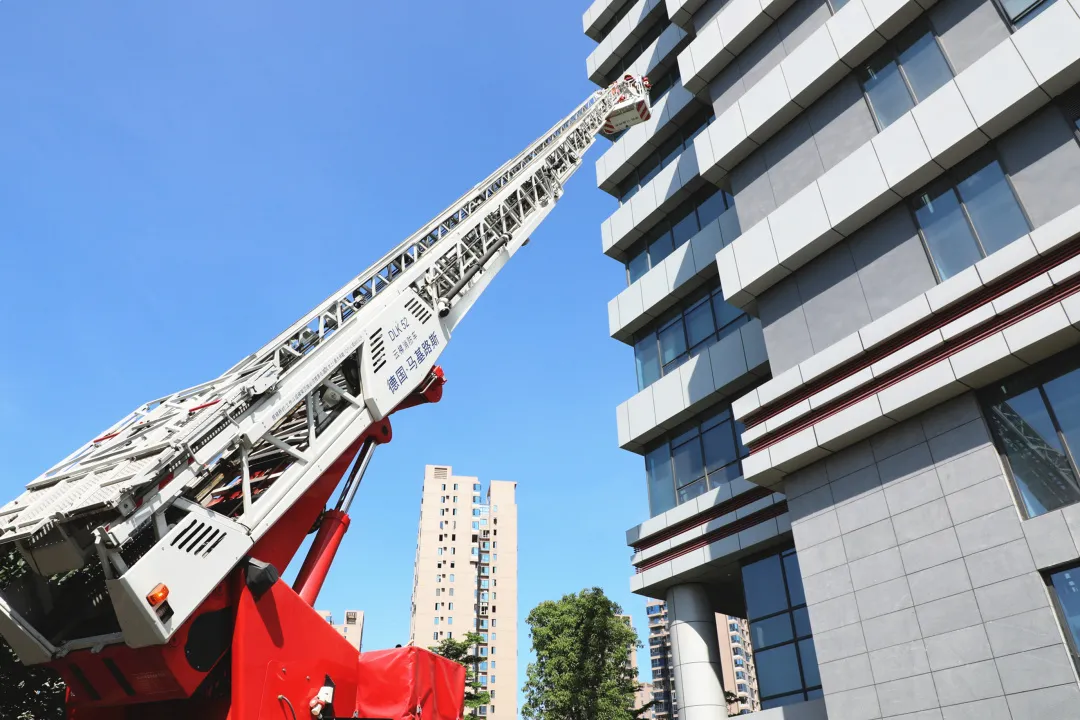 1593661544291001132.jpg 5.jpg