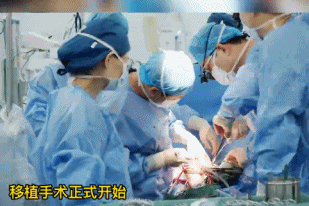 1633943700702033725.gif 微信图片_20211011170316.gif