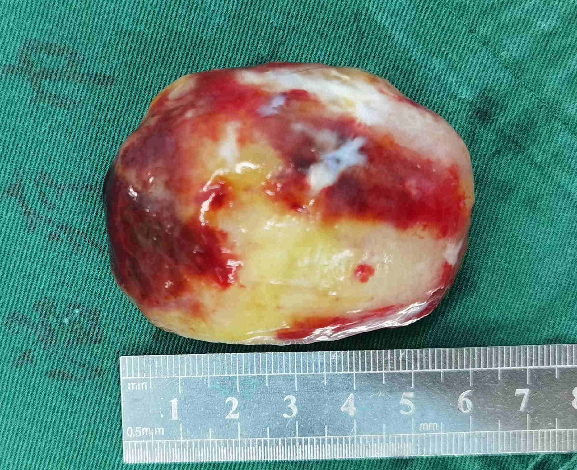 1668131388003058600.jpg 图片1_副本_副本.jpg