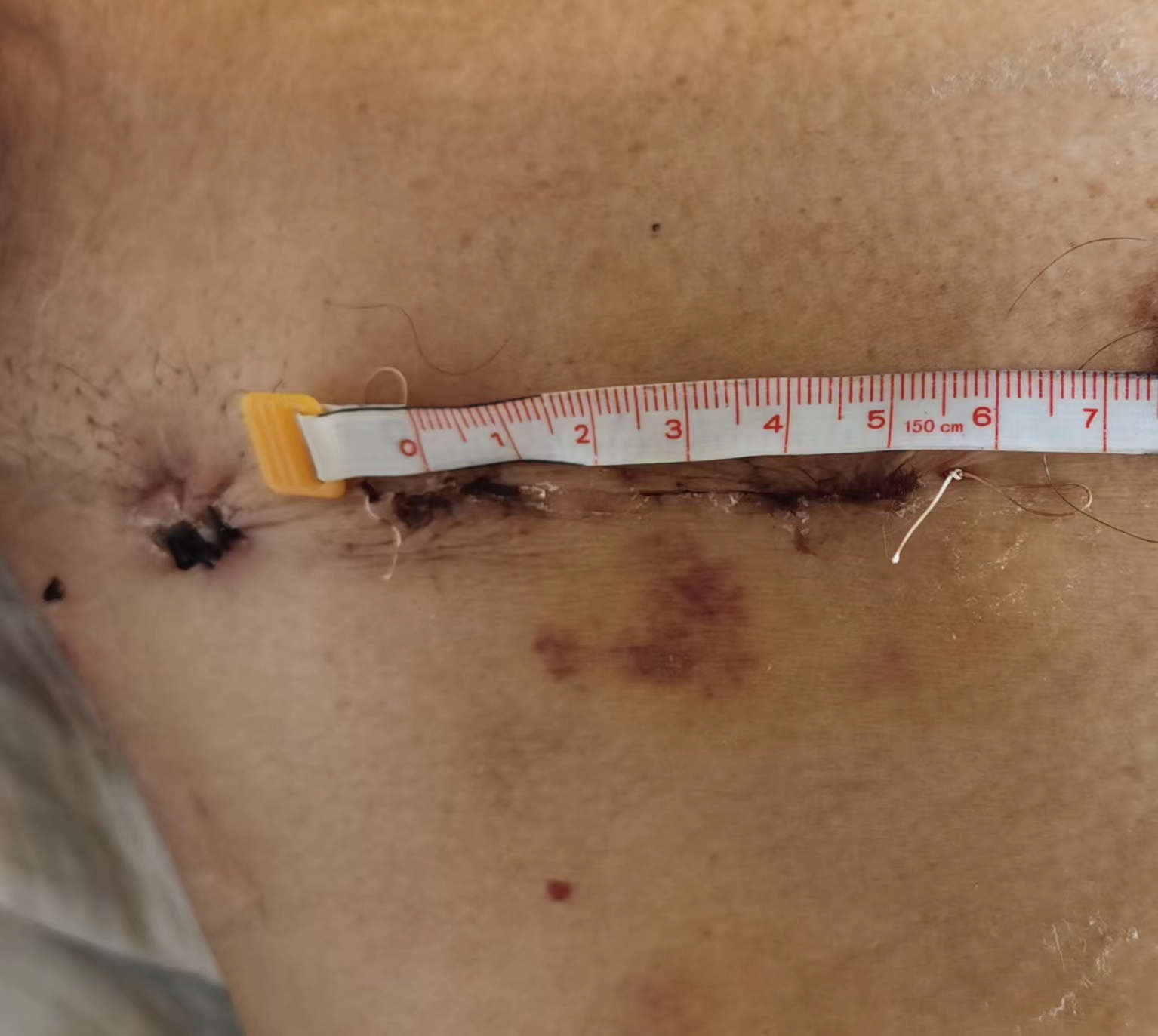 1668131637651062163.jpg 图片2_副本.jpg